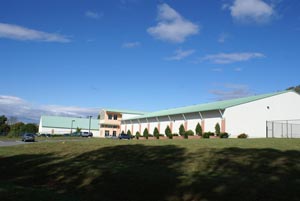 -Steel Brewster Tennis