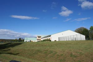 -Steel Brewster Tennis