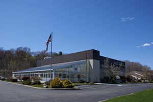 -Steel Mike Artega's Fitness