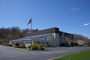 -Steel Mike Artega's Fitness