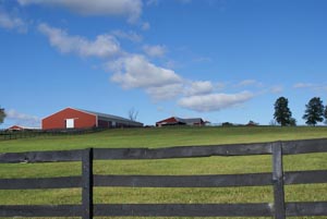 -Steel Stony Ford Ranch