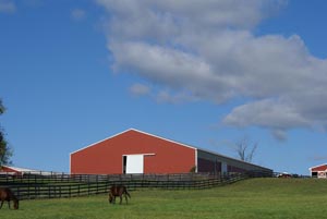 -Steel Stony Ford Ranch