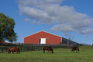 -Steel Stony Ford Ranch