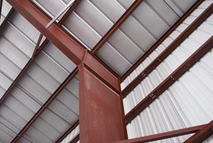 -Steel Taylor BioMass