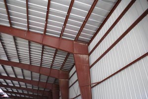 -Steel Taylor BioMass