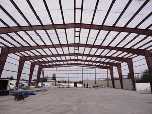 -Steel Taylor BioMass